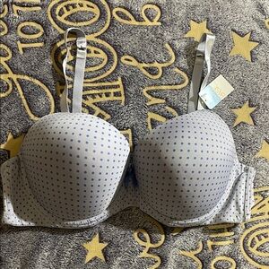Simply‎ Basic Purple Polka Dot Underwire Bra 42B